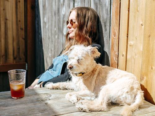 Dogs Barely Sweat to Cool Down. That's Why Heat Sneaks Up on Them.