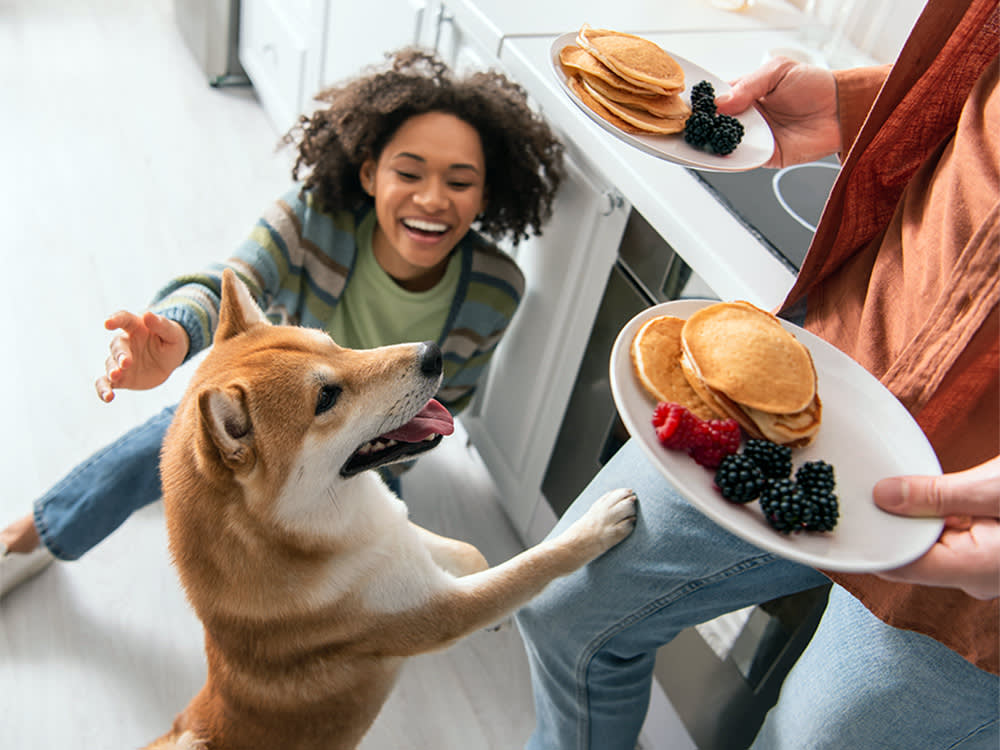 The Lowest-Sugar Berry in the Bowl Belongs to Your Dog