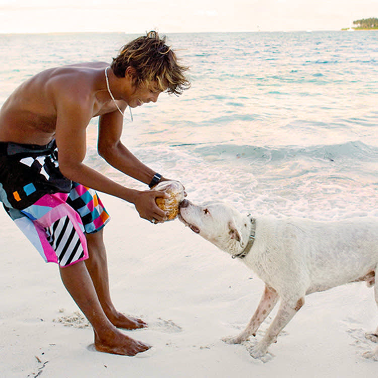 Coconut Won't Poison Your Dog. Its Fat Is the Real Catch.