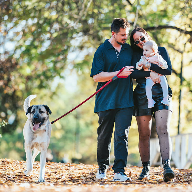 Stop Blaming Dogs for the Birth Rate. A 23-Million-Person Study Says the Opposite.