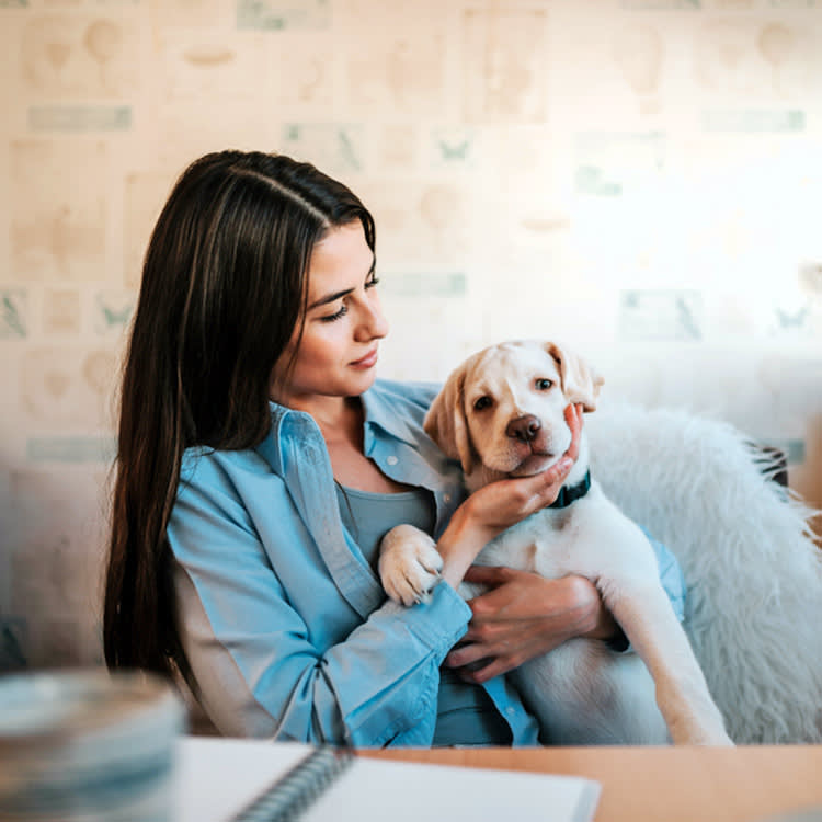Dog Acid Reflux Is a Symptom, Not a Diagnosis. Here's What It's Telling You