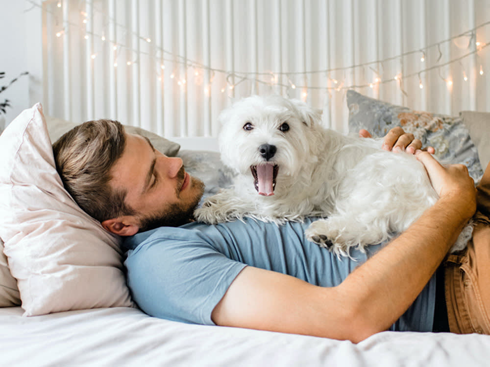 Black on Your Dog's Gums: The One Question That Tells You Whether to Worry