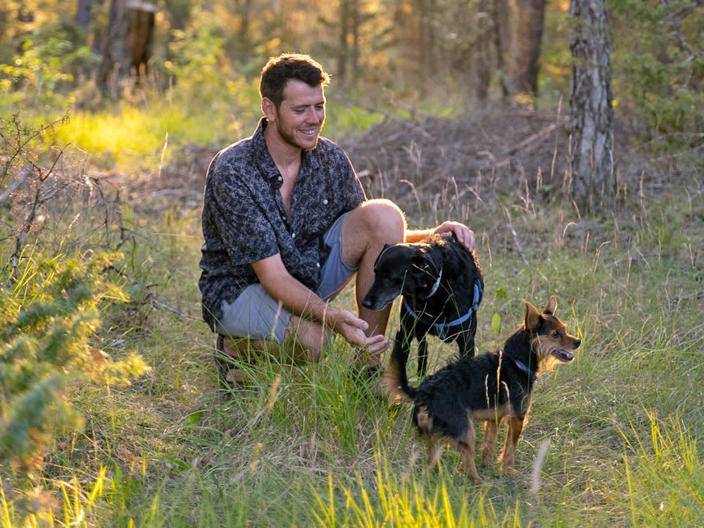 Your Dog Can't Catch Poison Ivy. But It Can Hand It to You.