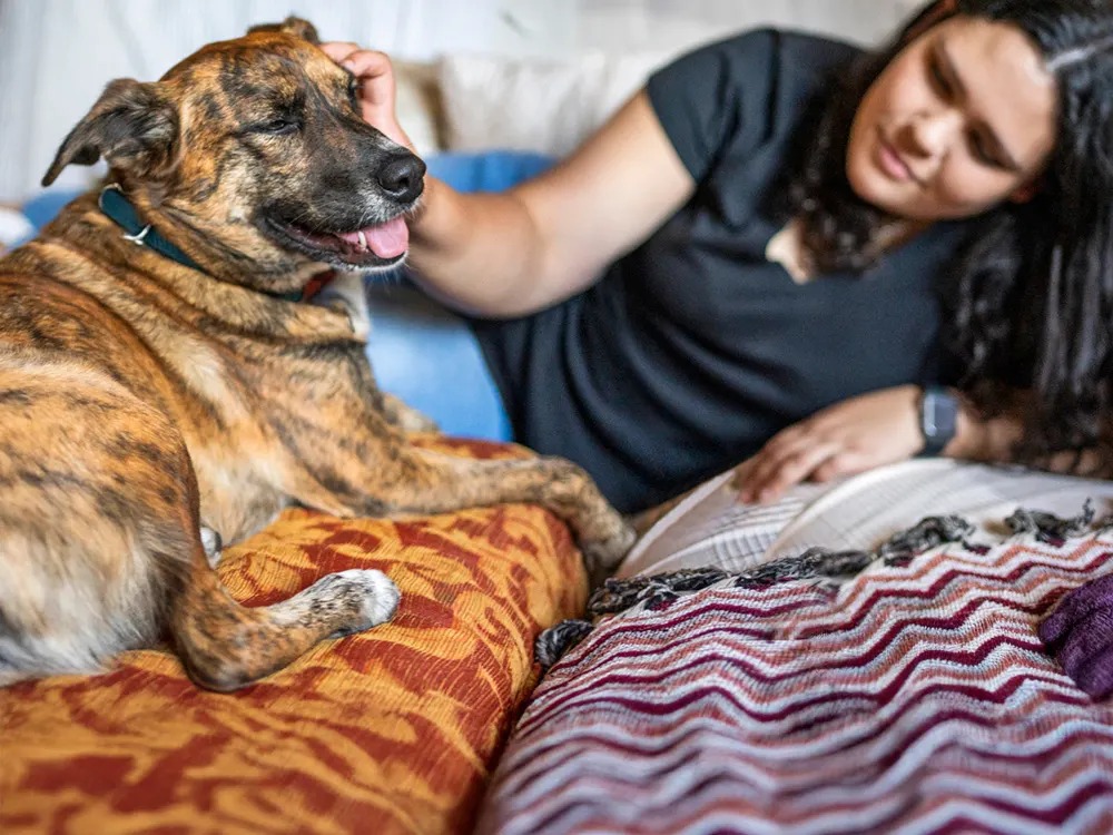 No, Your Dog Isn't Schizophrenic. But What They Have Is Real.