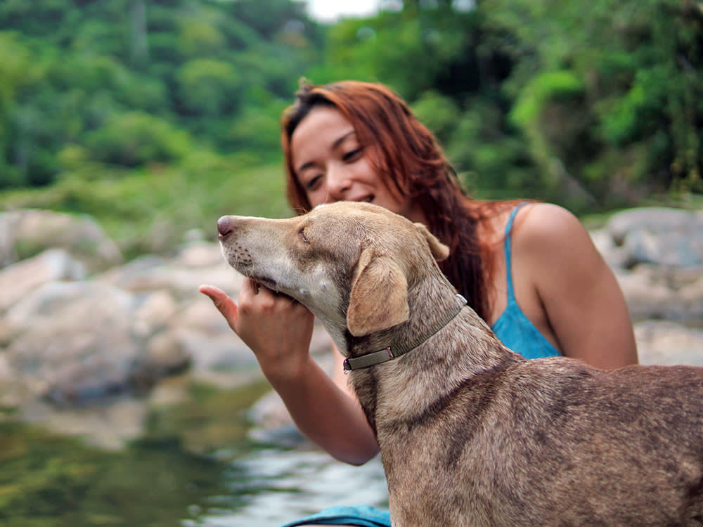 That Embarrassing Baby Voice? Your Dog Is Begging You to Keep Doing It.