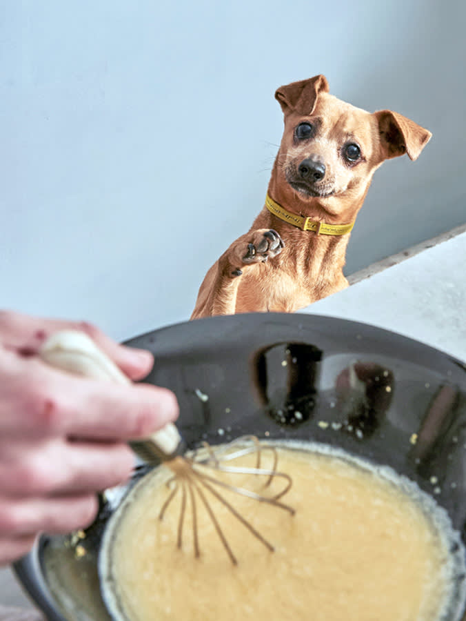 The Double-Bake Trick Behind a Dog Biscuit That Actually Stays Crunchy