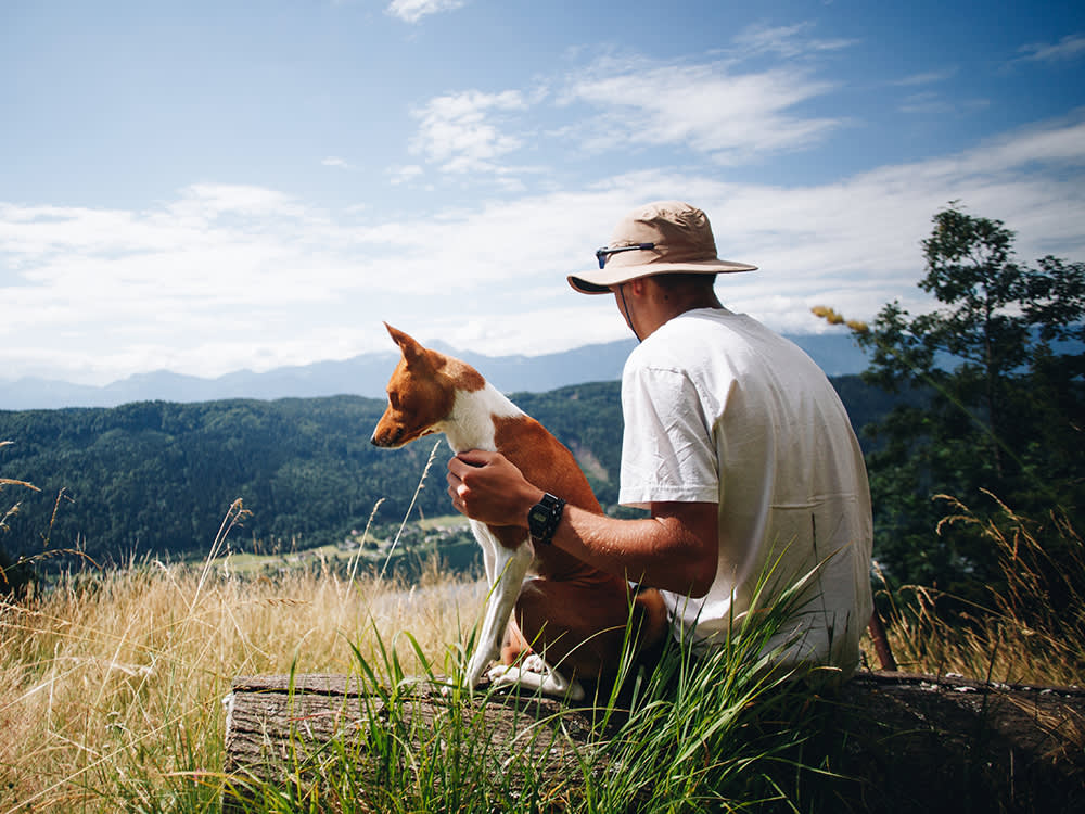 Most 'Green' Pet Swaps Are Theater. These 7 Actually Move the Needle.