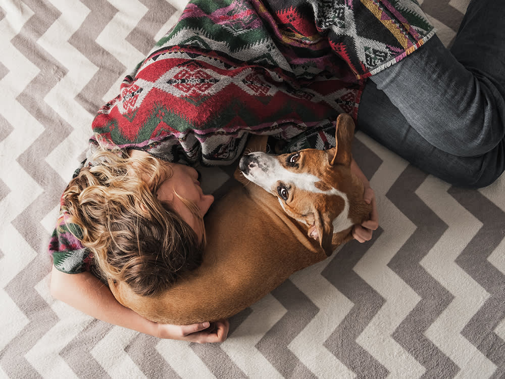 There's No Such Thing as 'Registering' an Emotional Support Animal. The Registry Is the Scam