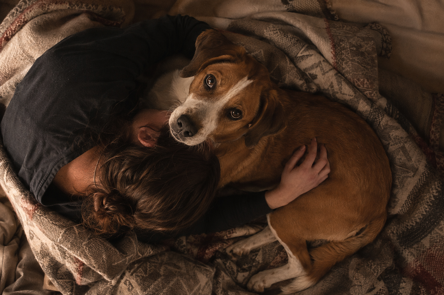 There's No Such Thing as 'Registering' an Emotional Support Animal. The Registry Is the Scam