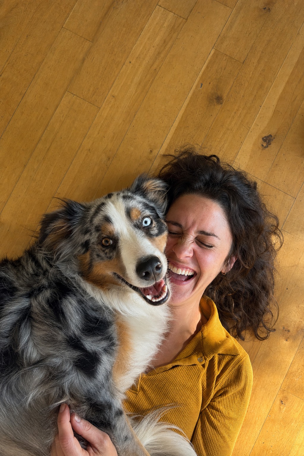 Ditch "Smart": 8 Words That Tell You How to Actually Train Your Dog