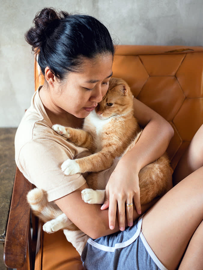 Your Cat Probably Has Herpes. The Go-To Remedy Doesn't Work.