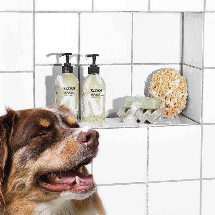 One Frenchie's Miserable, Itchy Skin Built an Entire Dog-Skincare Brand