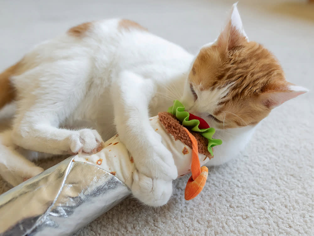 Your Cat Can't Have the Snack. These 11 Food-Shaped Toys Are the Next Best Thing.