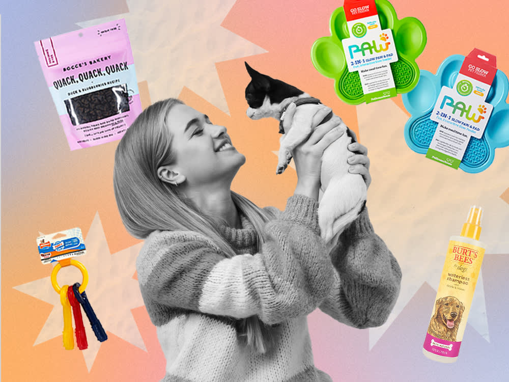 Saying Yes to a Foster Dog? Here's the Starter Kit That Sets You Both Up to Win