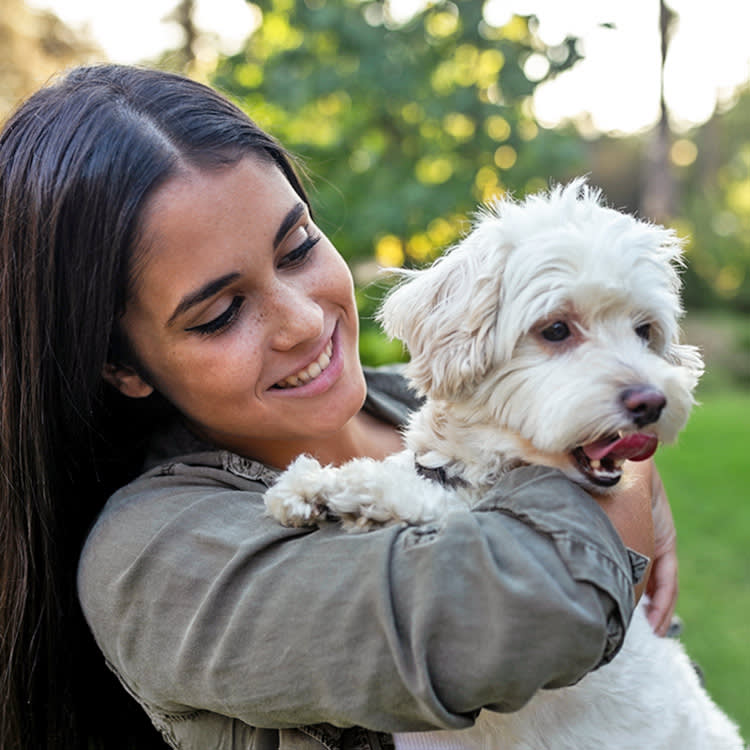 Broke, Busy, and Fostering Pets: How 3 College Students Pull It Off
