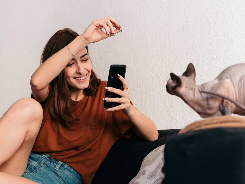 9 Cat TikTok Challenges, Ranked by Whether Your Cat Actually Enjoys Them