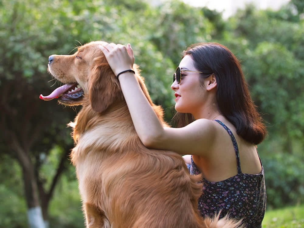 'Gentle Parenting' Your Dog Isn't Permissive. That's the Part People Get Wrong.