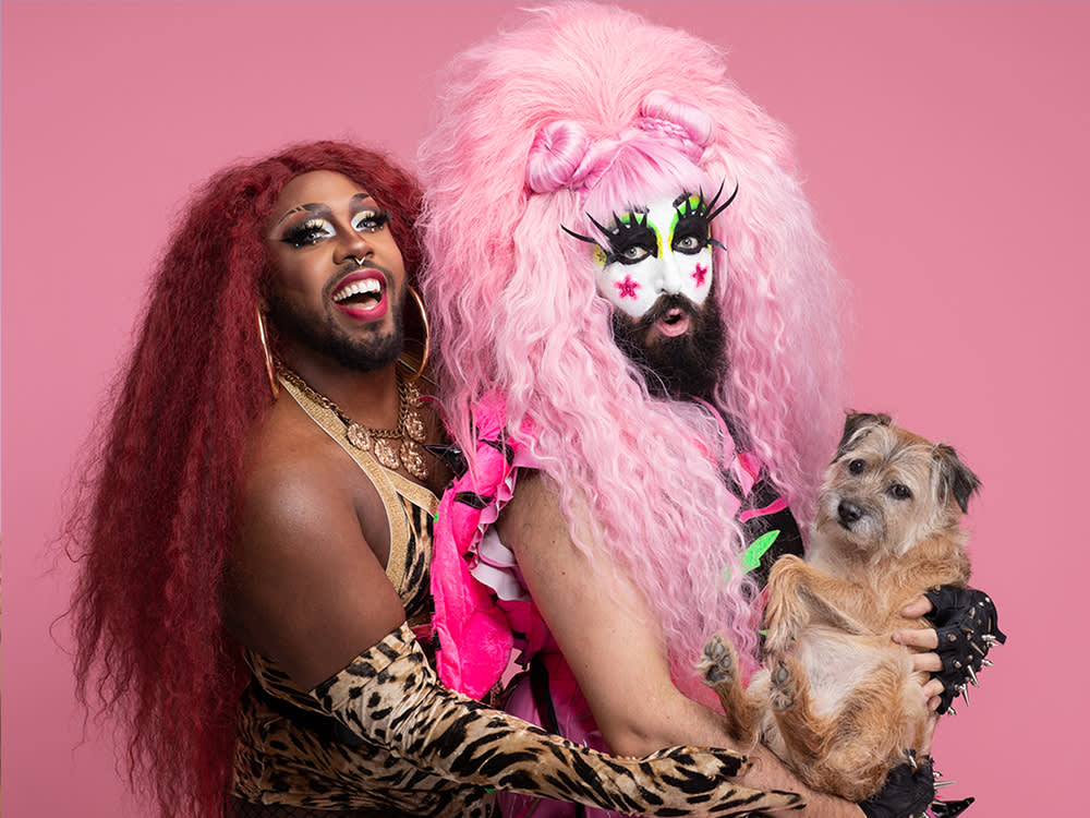 He Photographs Dogs Like Vogue Cover Stars. His Best Assistant Was a Terrier.