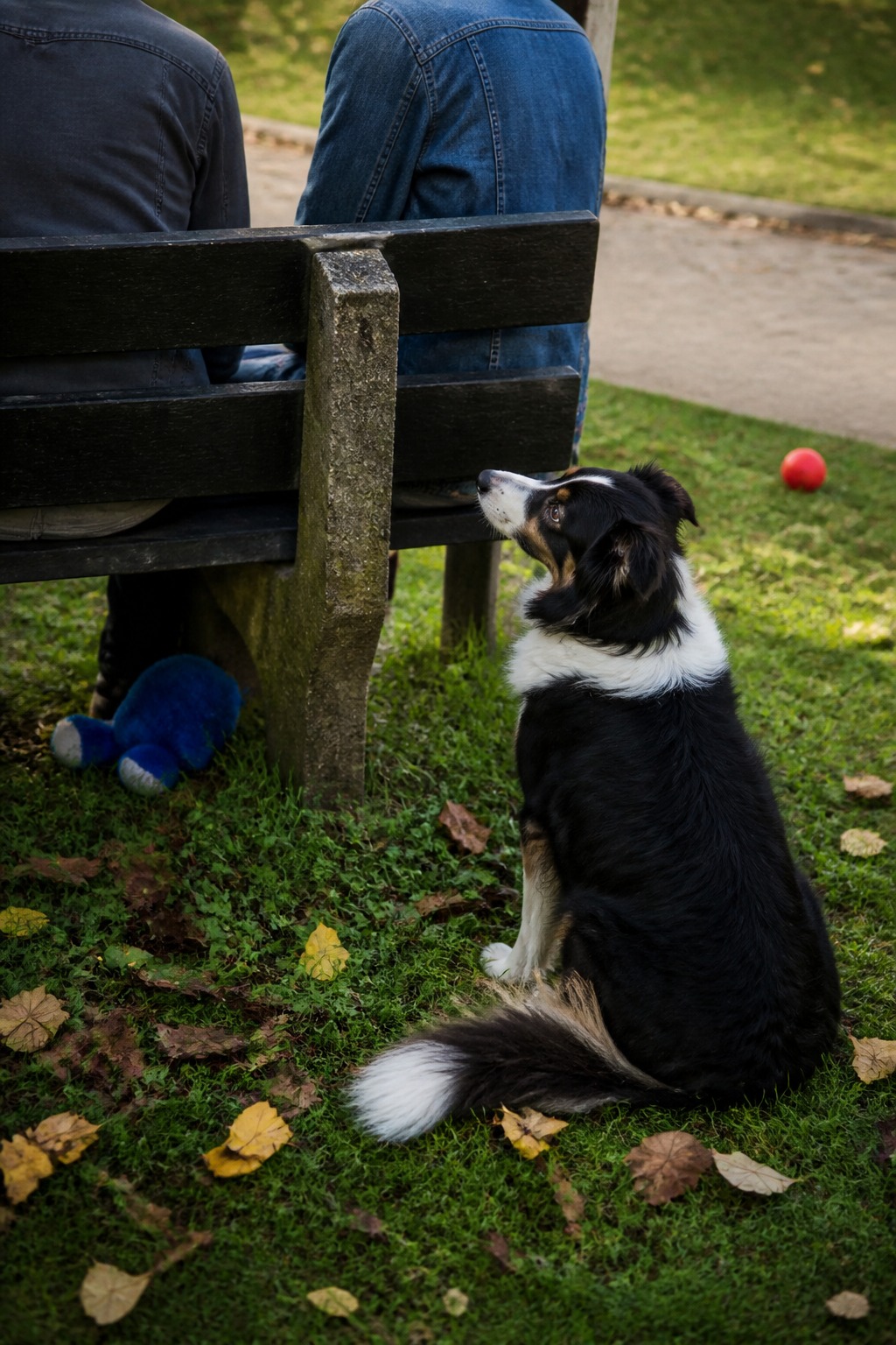 Some Dogs Learn Words by Eavesdropping. Scientists Just Proved It.