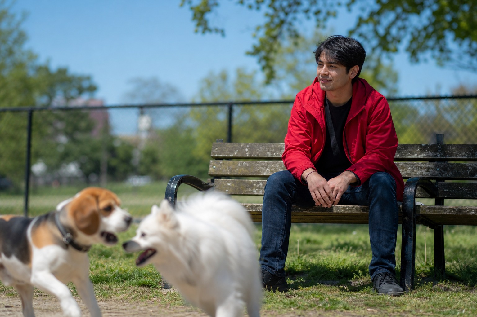Going to the Dog Park Without a Dog: Not Illegal, Not Even That Weird