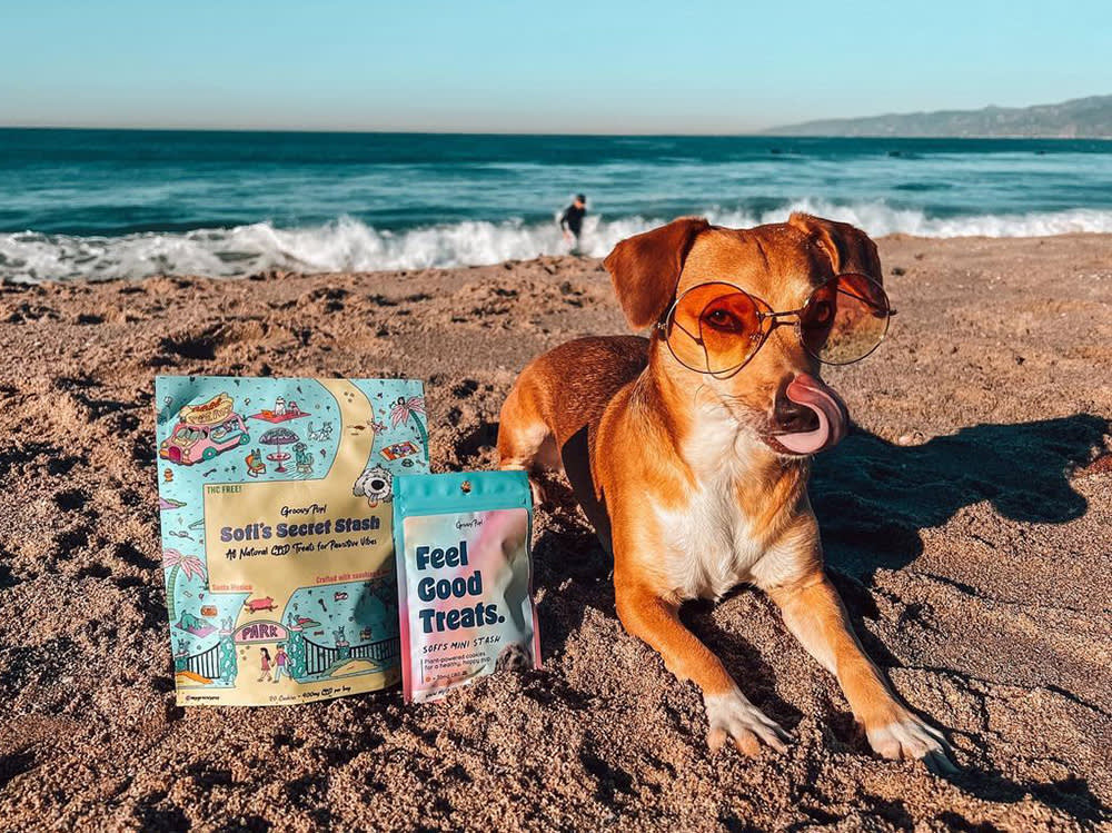 The Branding Is Pure '70s. The Real Question Is Whether CBD Treats Do Anything.