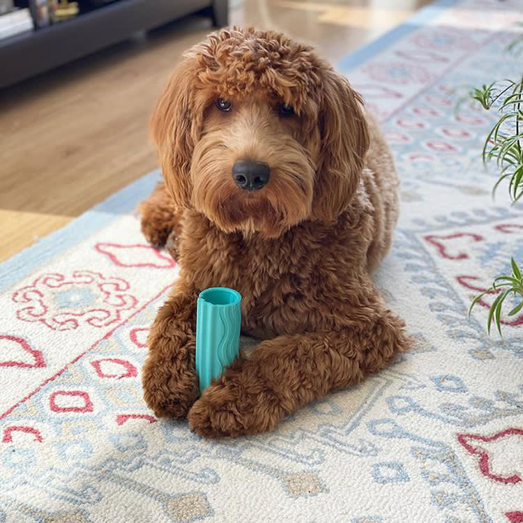 The Squeaker Toy Hasn't Changed in Decades. This One Finally Did.