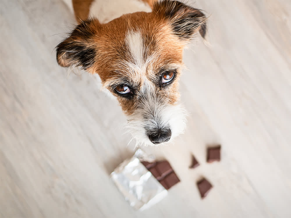 Chocolate Isn't the Scariest Thing in Your Halloween Candy Bowl