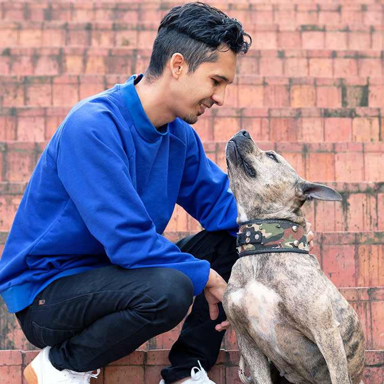 Feeling Great? Then Your Dog Looks Miserable. That's You, Not Him.