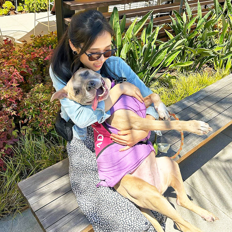 You Spotted a Dog That Looks Neglected. Here's How Not to Make It Worse.