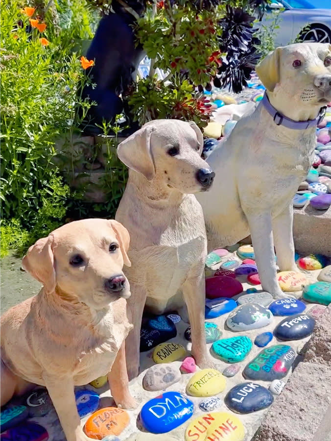 One Volunteer's Dead Lab Started the Beach Memorial San Diego Almost Erased