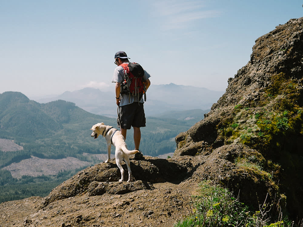 Every Trail Closed to Dogs Was Closed Because of a Dog Owner