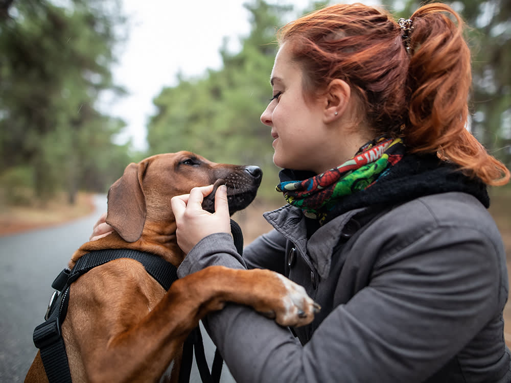 'Natural' Won't Cure Your Dog's Seizures. But These Add-Ons Actually Help.
