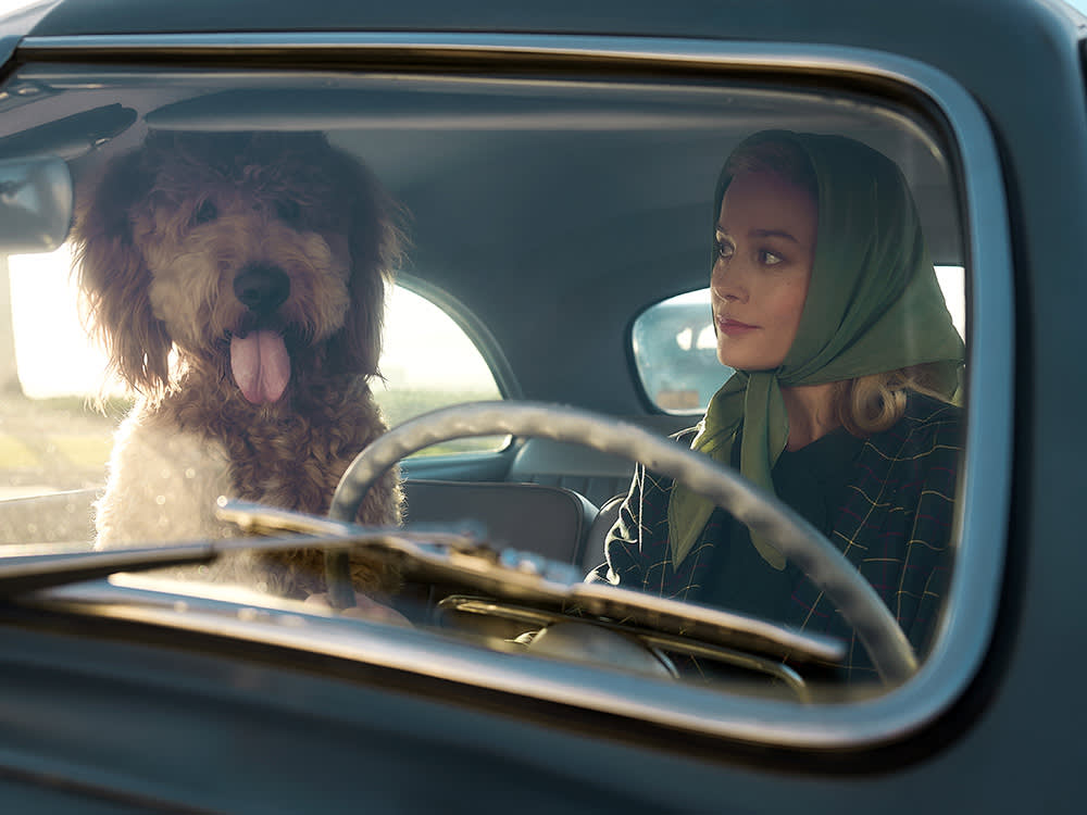 The Dog Stole the Movie. Someone Off-Camera Made That Happen.