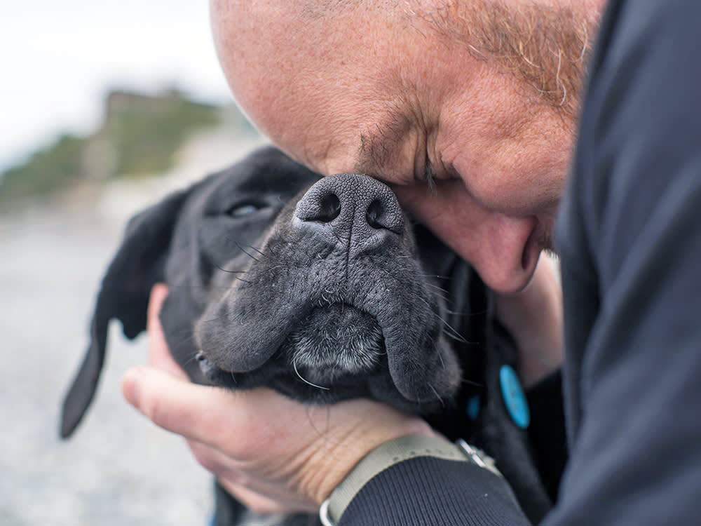 He Left Jail After Five Days. One of His Dogs Was Already Dead.