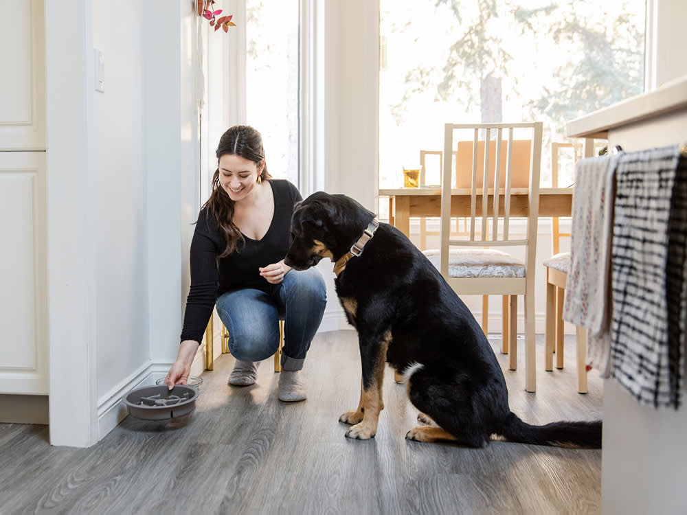 Only 6% of Homemade Dog Diets Are Complete. Yours Is Probably in the Other 94%.