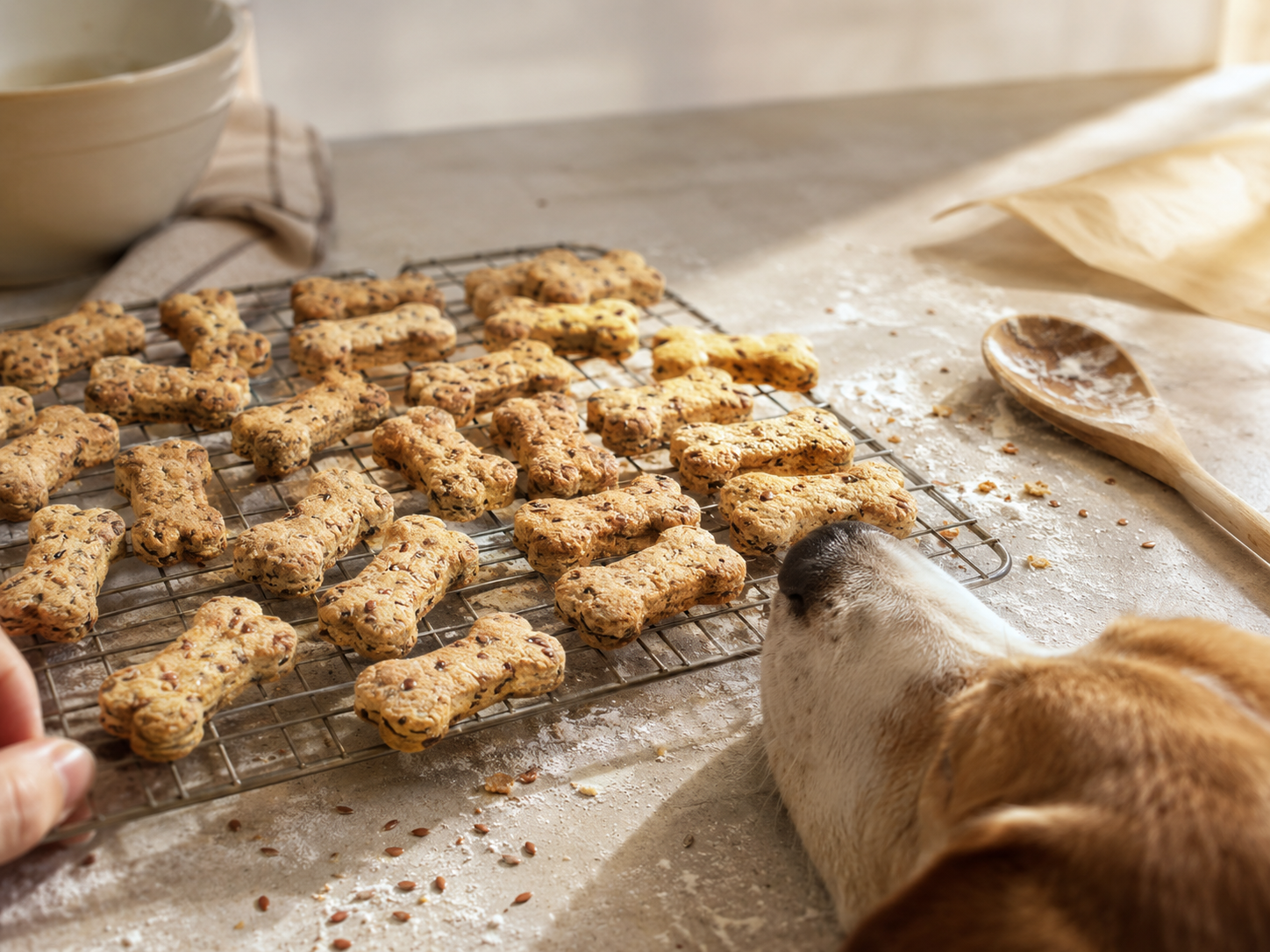 The Double-Bake Trick Behind a Dog Biscuit That Actually Stays Crunchy