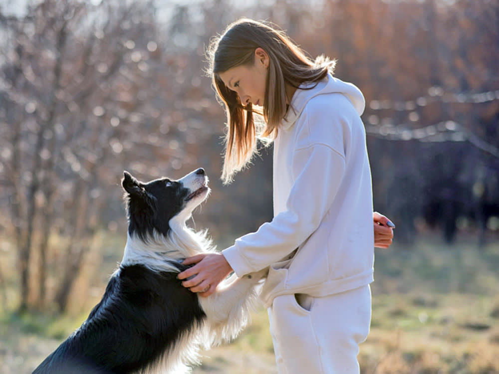 A Shelter Dog Predicted a Stranger's Seizure With No Training. How?