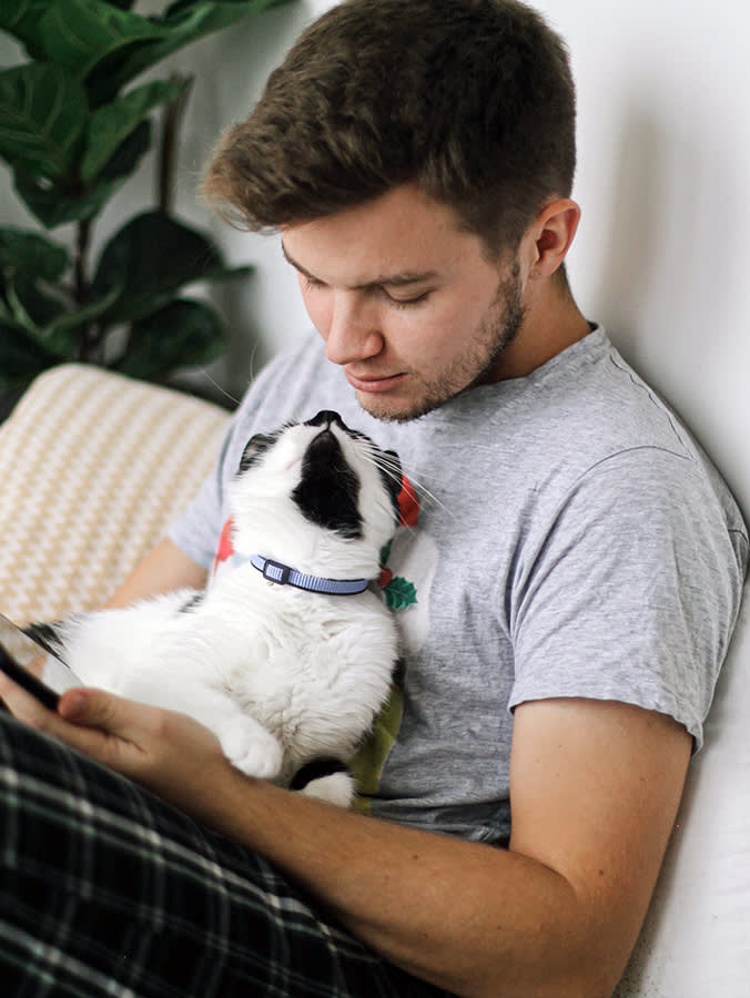 Your Cat Remembers More Than You Think, Especially the Things You Wish They'd Forget