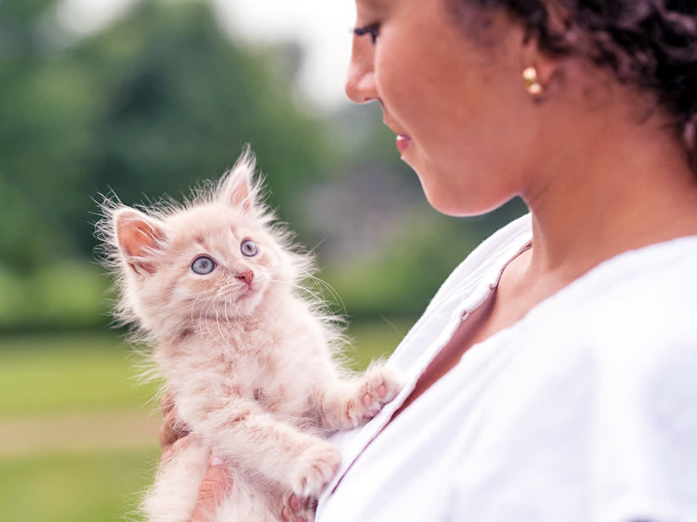 A Kitten's Body Keeps a Calendar. Here's How to Read It.