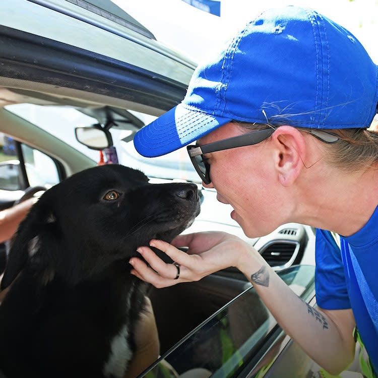 How the Animal-Rescue Network Beat Helene's Floodwaters