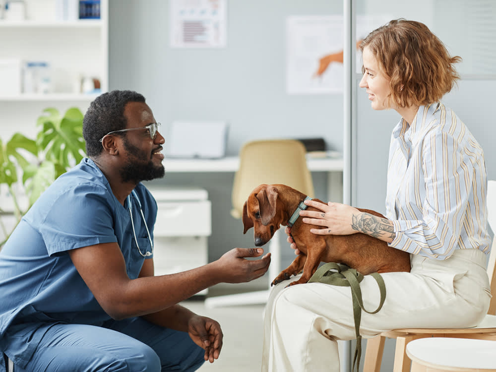 Your Pet Can't Talk at the Vet. That Makes You the Whole Story.