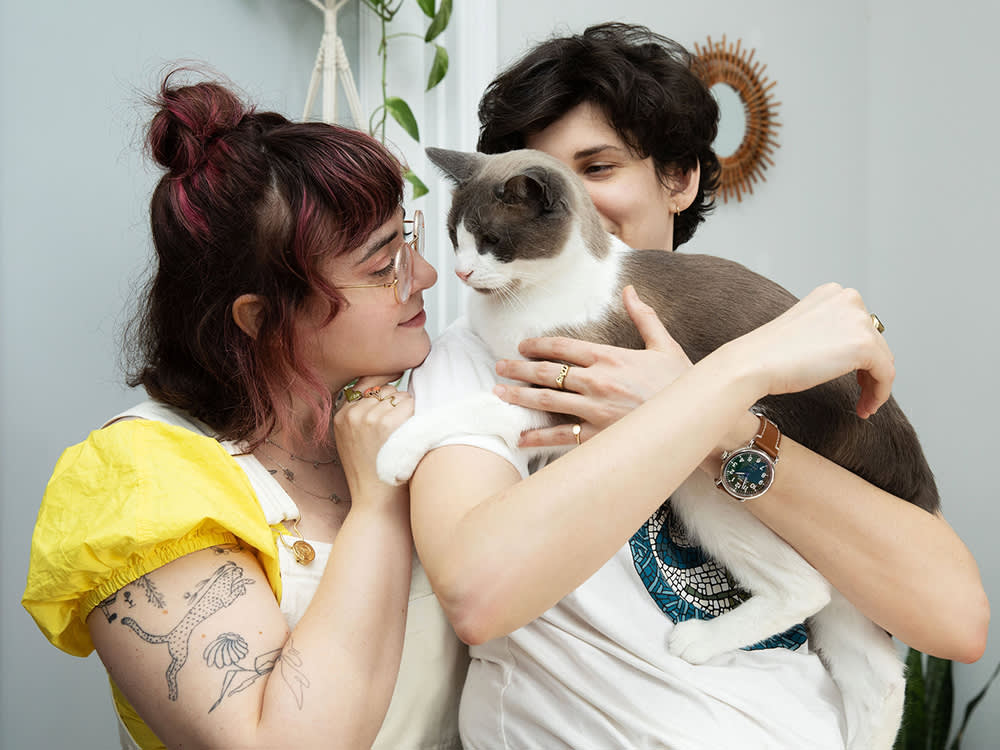 How to Get a Real Photo of Your Cat, Even the One Who Hides