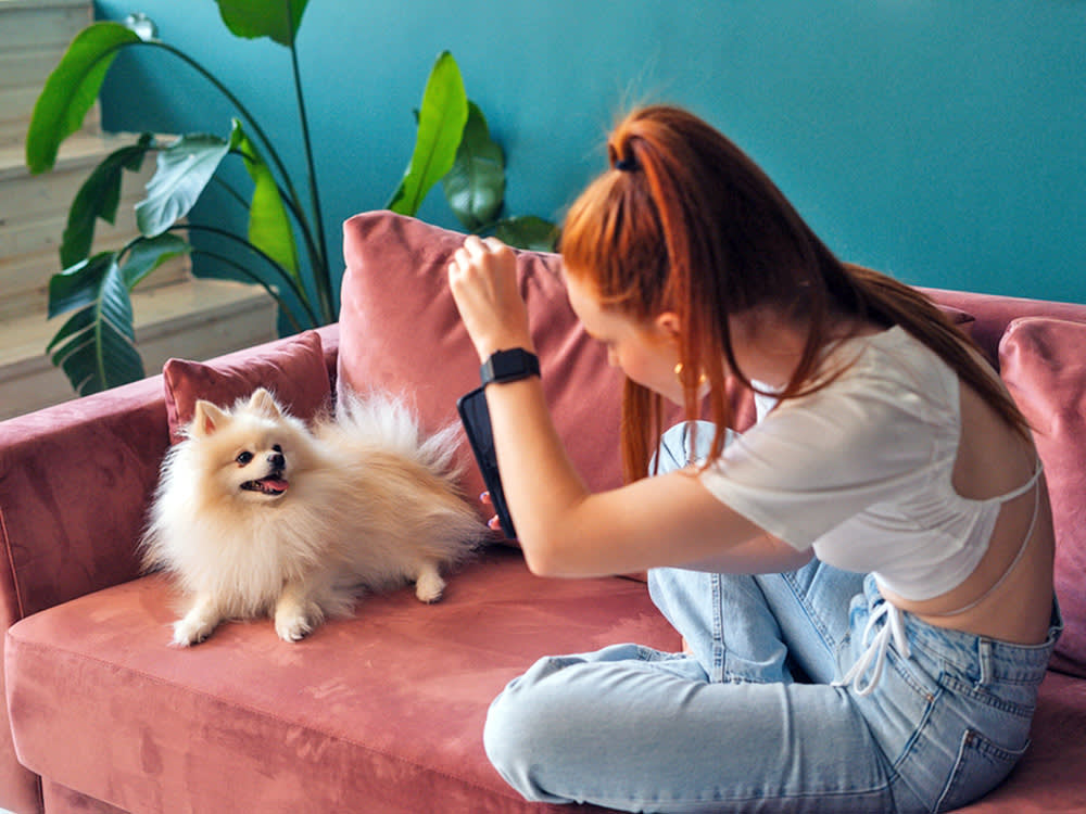 Your Pet Probably Won't Go Viral. Chase This Instead.