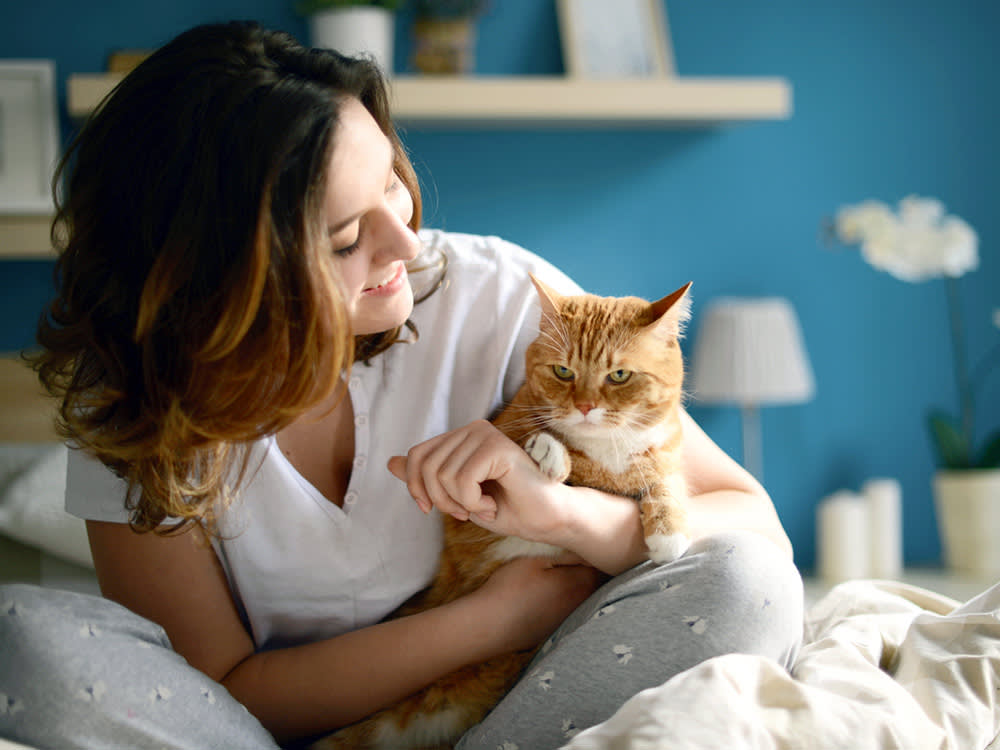 You Can Tell When Your Cat Is Happy. That's the Problem.