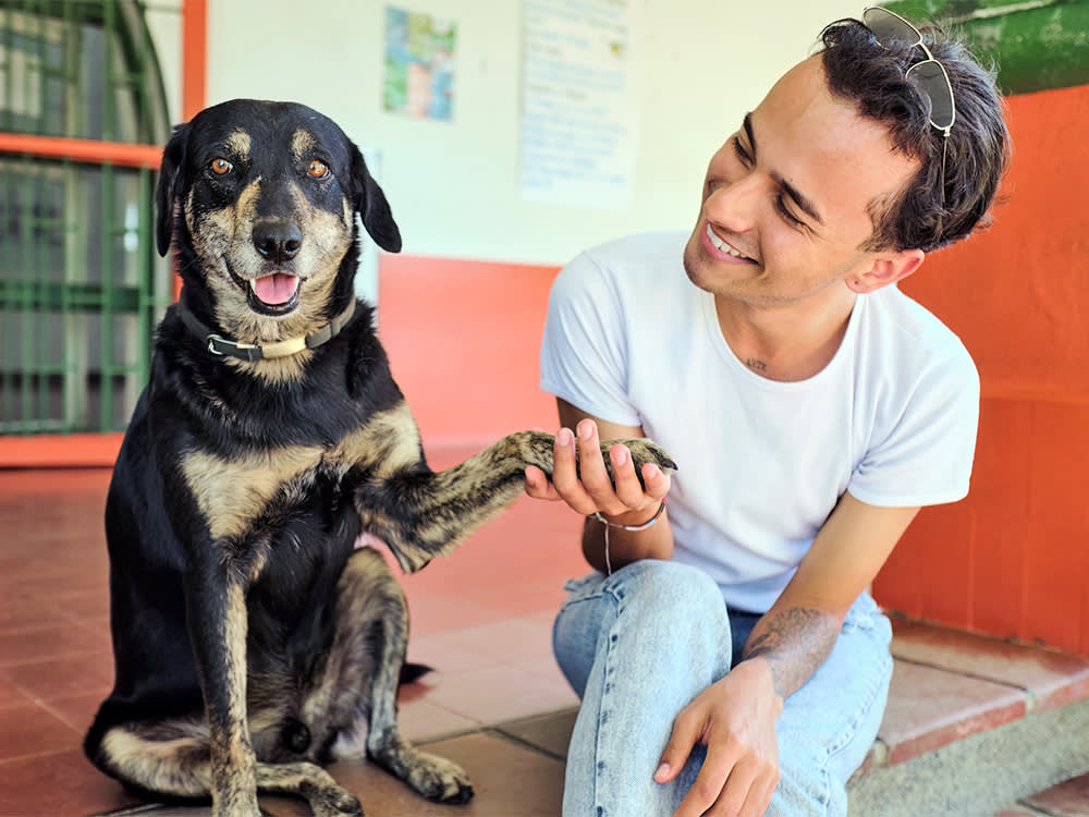 The Only Pet Insurance Question That Matters: Can You Write a $6,000 Check on a Tuesday?