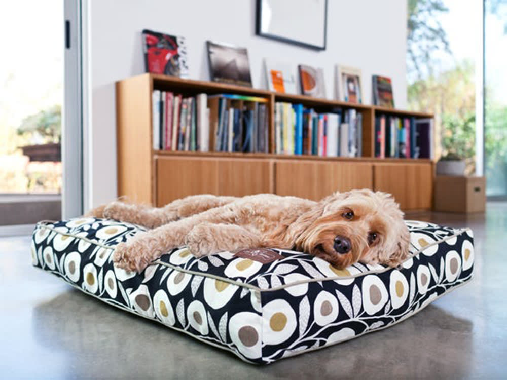 Your Dog's Next Bed Might Be 12 Recycled Soda Bottles. On Purpose.