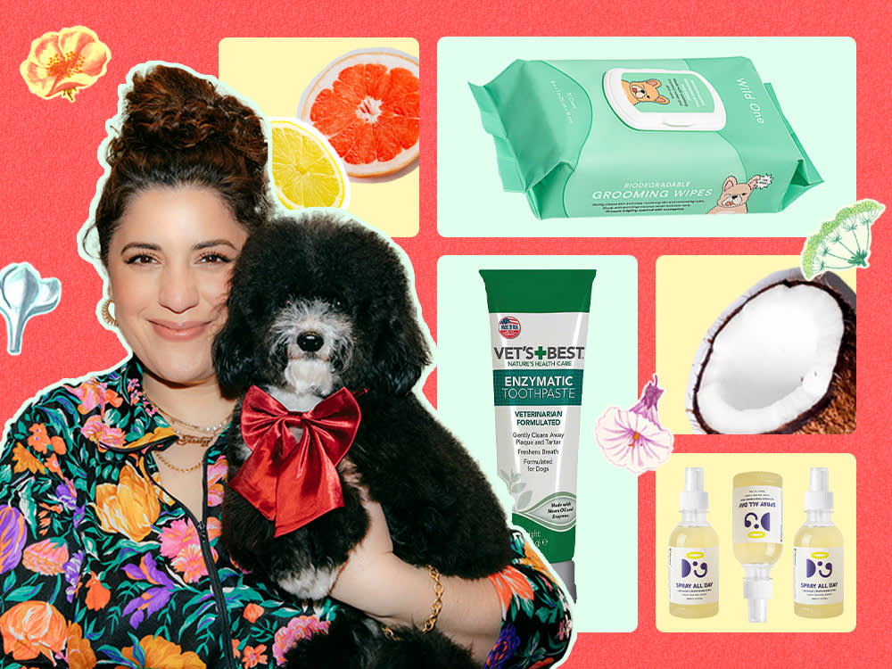 The At-Home Grooming Kit a Celebrity Dog Groomer Actually Uses