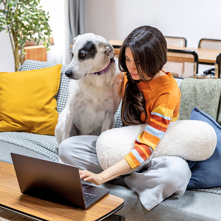 It's Not the Job Stressing Your Dog Out. It's the Replay.
