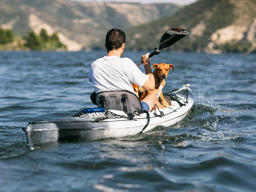 The Kayak Isn't What Hurts Dogs. The Water Is.
