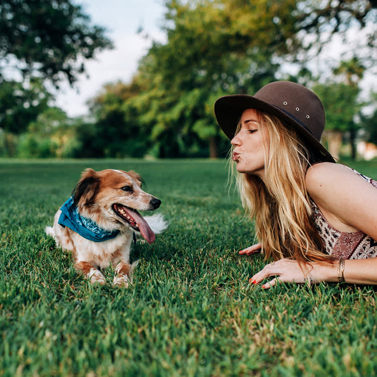 Face Bites Are Almost Always Our Fault, Not the Dog's